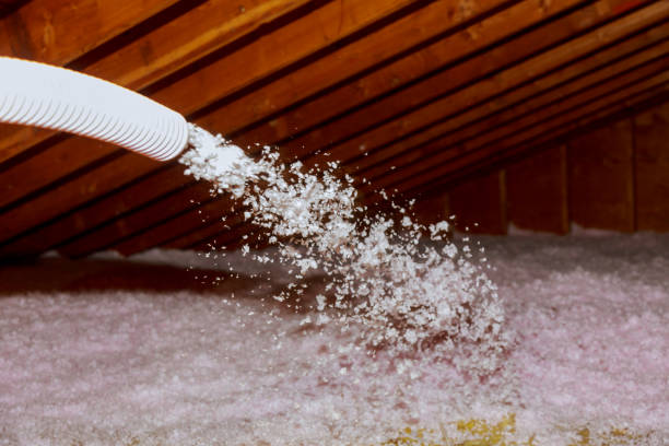 Best Insulation Contractors for Homes  in La Nte, MO