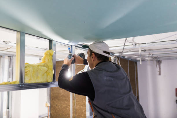 Best Crawl Space Insulation  in La Nte, MO