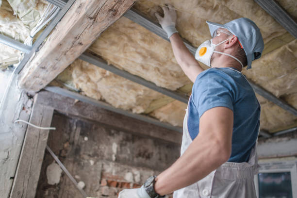 Best Professional Insulation Contractor  in La Nte, MO