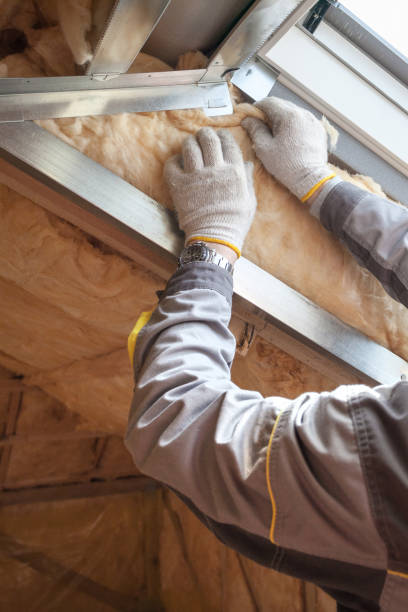 Best Insulation Contractors for Homes  in La Nte, MO