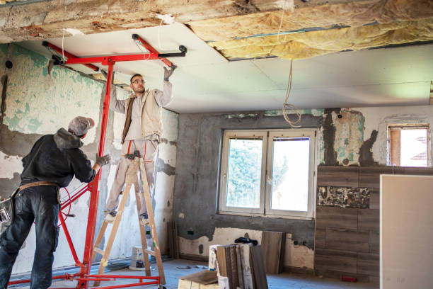 Professional Insulation Contractor in La Monte, MO
