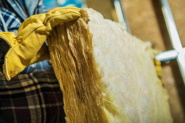 Best Attic Insulation Installation  in La Nte, MO
