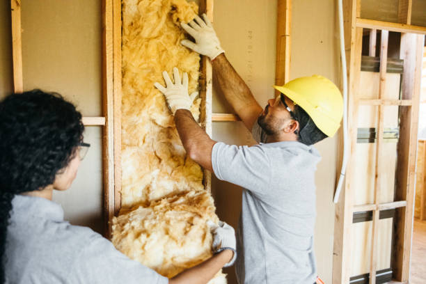 Range of Insulation Solutions in La Monte, MO