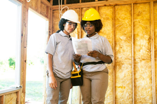 Best Wall Insulation Contractor  in La Nte, MO