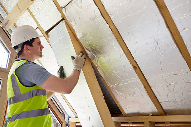 Best Attic Insulation Installation  in La Nte, MO