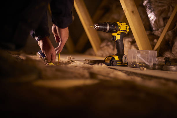 Best Insulation Inspection Services  in La Nte, MO