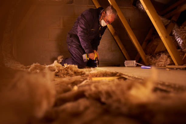 Best Blown-in Insulation  in La Nte, MO